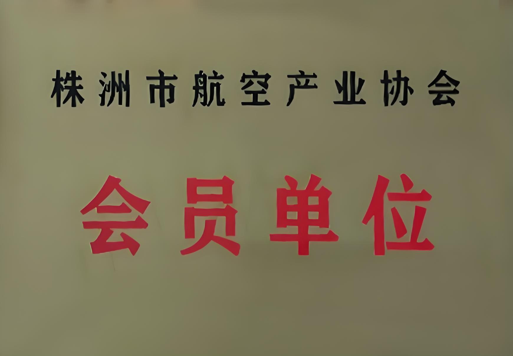 祝賀世林膠業(yè)獲得株洲市航空產(chǎn)業(yè)協(xié)會(huì)會(huì)員單位